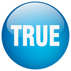 true blue round gel isolated push button
