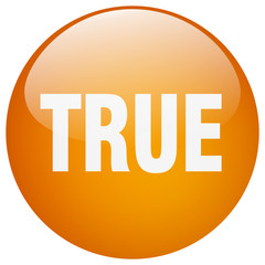 true orange round gel isolated push button