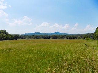 Fototapeta premium Meadow, forest and sky