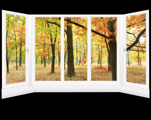window overlooking the autumn park