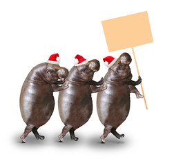 Three happy hippos going to christmas party with empty schedule. Christmas or New Year greeting.