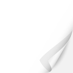 Curled Paper Corner with White Background