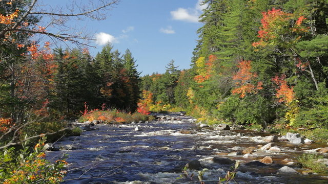 Locked down view of the Swift River in autumn in the White Mountains of New Hampshire; includes ambient audio.