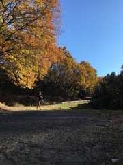 Man running on country road in fall
