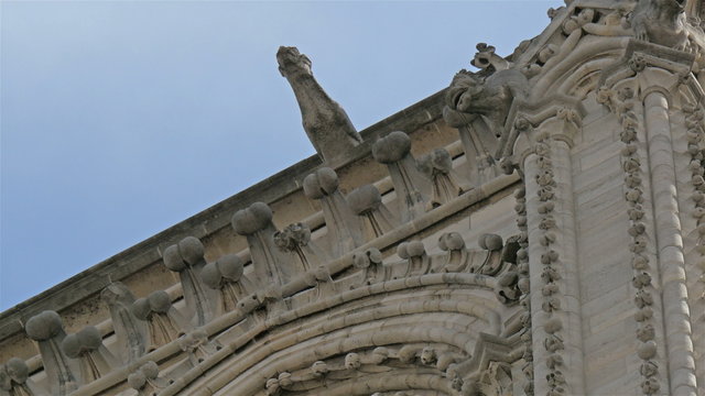 The carved images of shapes and animals on the edge of the wall of the Notre Dame Cathedral in Paris