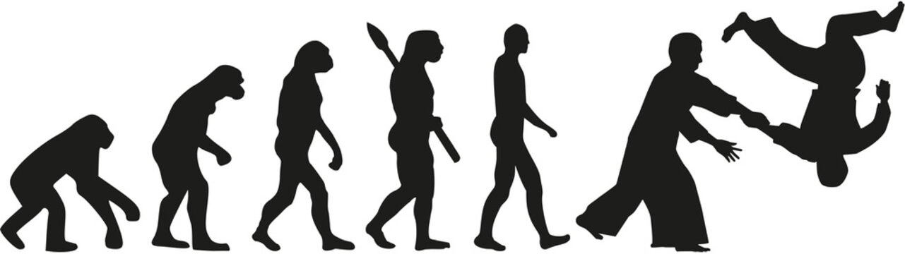 Aikido evolution