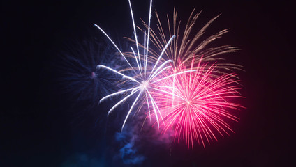 The fireworks display in black sky background to celebration