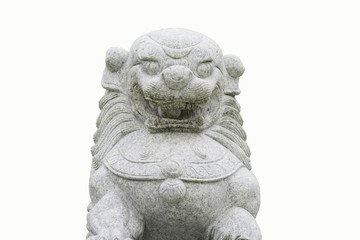 lion isolated on white