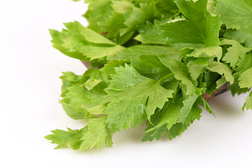 Celery on White Background.