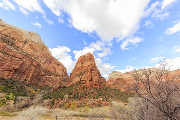Travelling in the famous Zion National Park