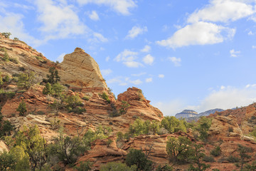 Travelling in the famous Zion National Park