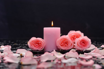Set of pink rose with candle on wet background