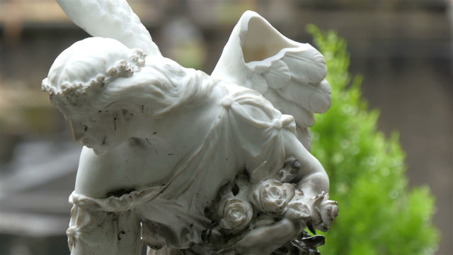 The white angel sculpture on the cemetery. The angels wings is broken and it has black stains on it