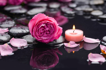 rose petals with candle and therapy stones 