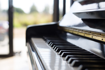 piano is a music instrument it a keyboard and popular in a kids. - 97533955