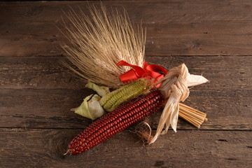 Corn cob red