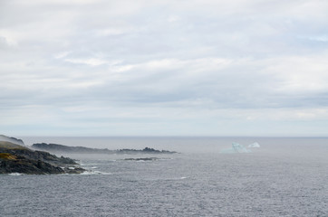 Newfoundland coast