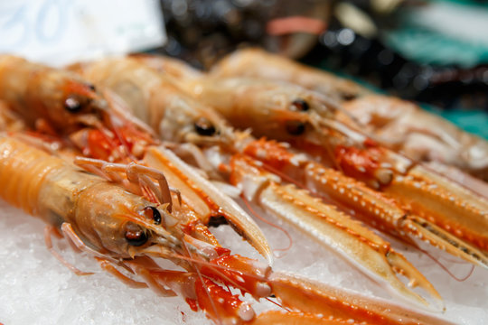 fresh Nephrops on sale at market