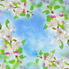 spring blossom over blue sky nature background