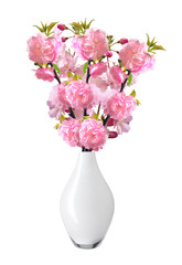 Almond Tree Flowers in vase isolated on white