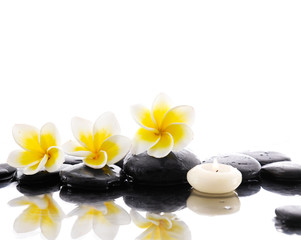 frangipani ,candle with therapy stones