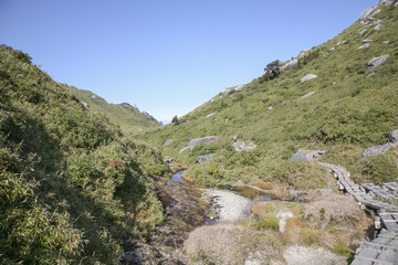 Fototapeta na wymiar An image of trail to Mount Miyanouradake in Yakushima, Japan
