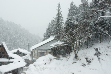 Matsumoto, Japan : Japan after the heavy snow storms in the past 120 years in 15 February 2014