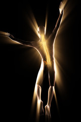 human bones radiography scan image