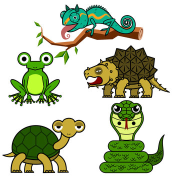 illustration of reptiles