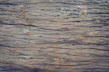 dry skin wood texture of aged hardwood background