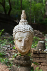 buddha statue in wat umong, chiang mai, travel northern thailand