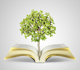 book of fantasy stories