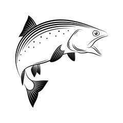 Drawings salmon