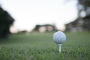 golf ball on tee on green grass