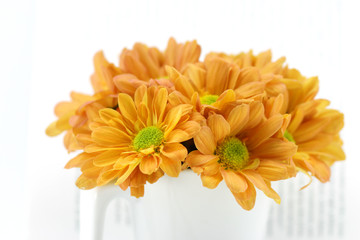 orange chrysanthemum on book