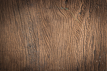 old wood background