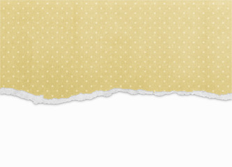 Old torn paper texture