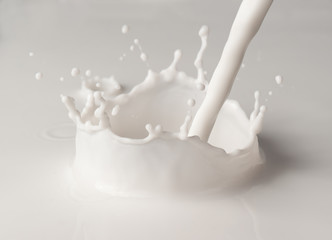 Pouring milk splash on white background