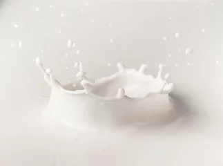 Fotobehang Pouring milk splash on white background © showcake