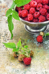 Ripe and juicy raspberries