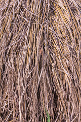 straw background