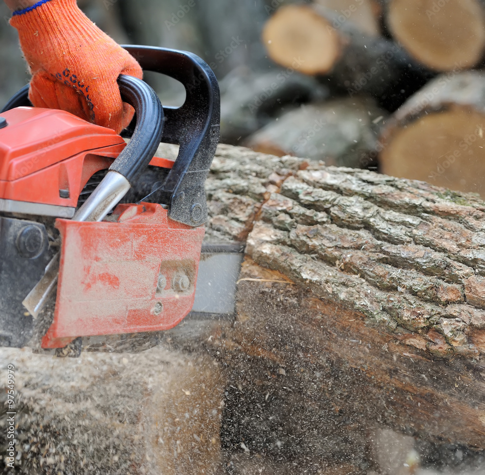 Wall mural  Chainsaw and tree