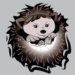 funny hedgehog on the back