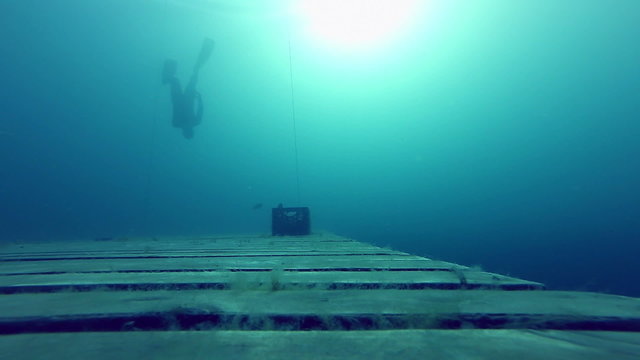 Freediver having fun with a Bass Fish