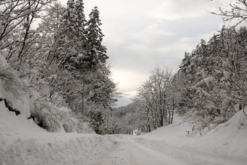 Matsumoto, Japan : Japan after the heavy snow storms in the past 120 years in 15 February 2014