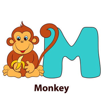 Illustrated alphabet letter M and monkey. Vector illustration