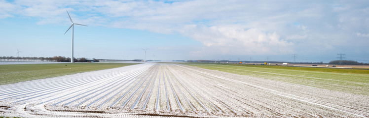 Field covered in snow in winter 
