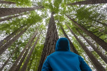 Foto op Plexiglas Man die omhoog kijkt in een bos © ymgerman