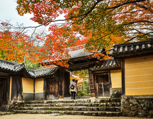 Obraz premium Takao, Kyoto 3