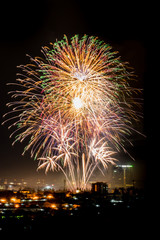 Brightly colorful fireworks and salute of various colors in the